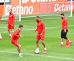 Antrenament Hermannstadt la Arad, înaintea finalei Cupei României cu CFR Cluj