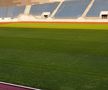 Cum arată gazonul de la Târgu Jiu cu 3 zile înainte de FCU Craiova - FCSB » MM Stoica: „Atenție! Am primit o filmare”