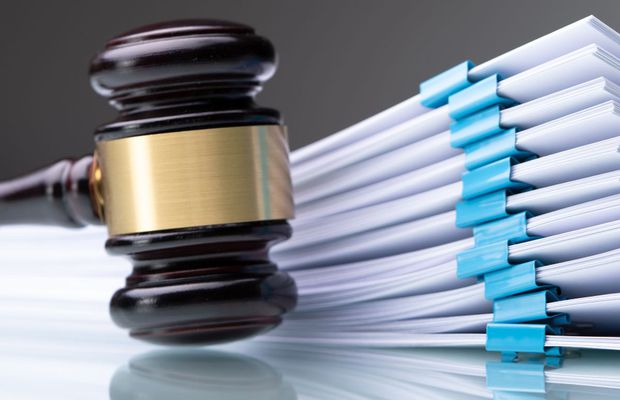 Dinamoviștii și-au pus mâinile-n cap! „Câinii” au mers iar la Tribunal în această dimineață: o nouă amânare și multe semnale îngrijorătoare