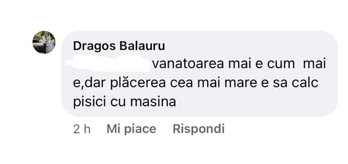 Șocant! Fotbalistul cu peste 130 de meciuri în Liga 1, derapaje în serie: „Plăcerea cea mai mare e să calc pisici cu mașina!” + „Am curaj cu căprioarele și cu pensionarele” » Reacția jucătorului pentru GSP