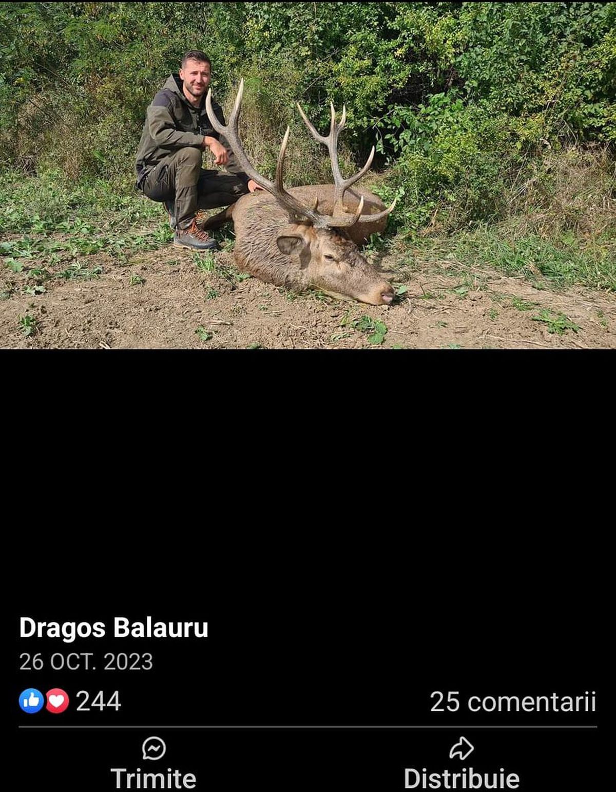 Derapajele lui Dragoș Balauru