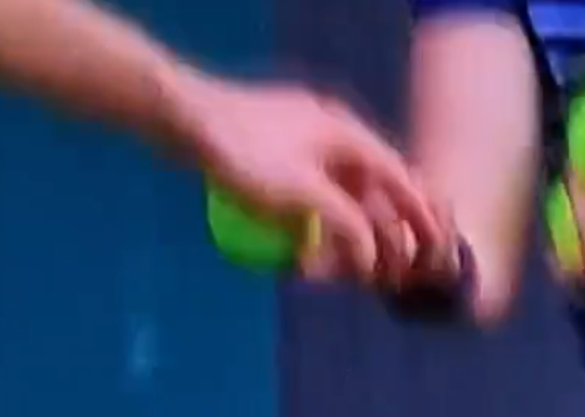 Jannik Sinner - Carlos Alcaraz, momentul care a oprit partida