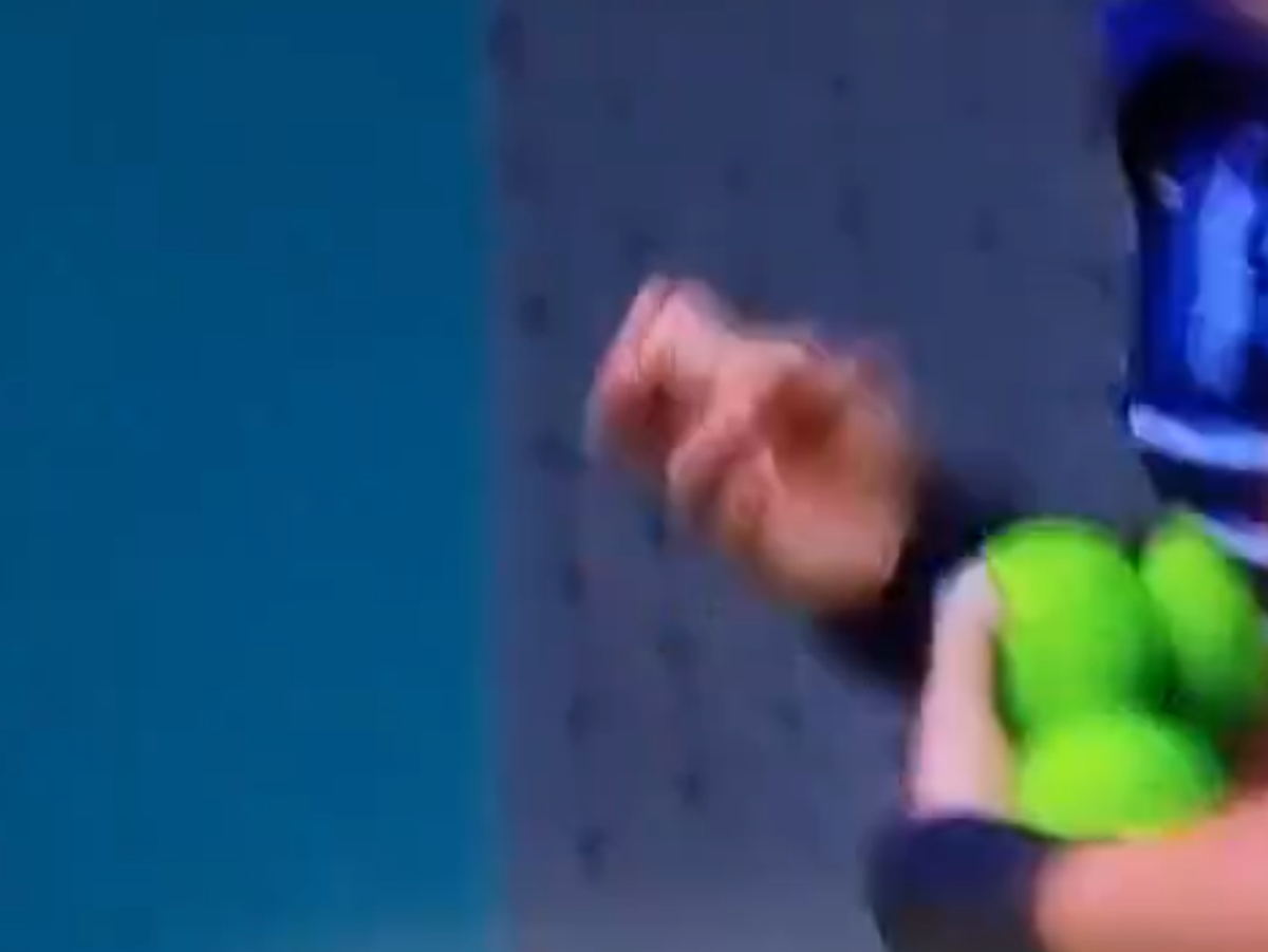 Jannik Sinner - Carlos Alcaraz, momentul care a oprit partida