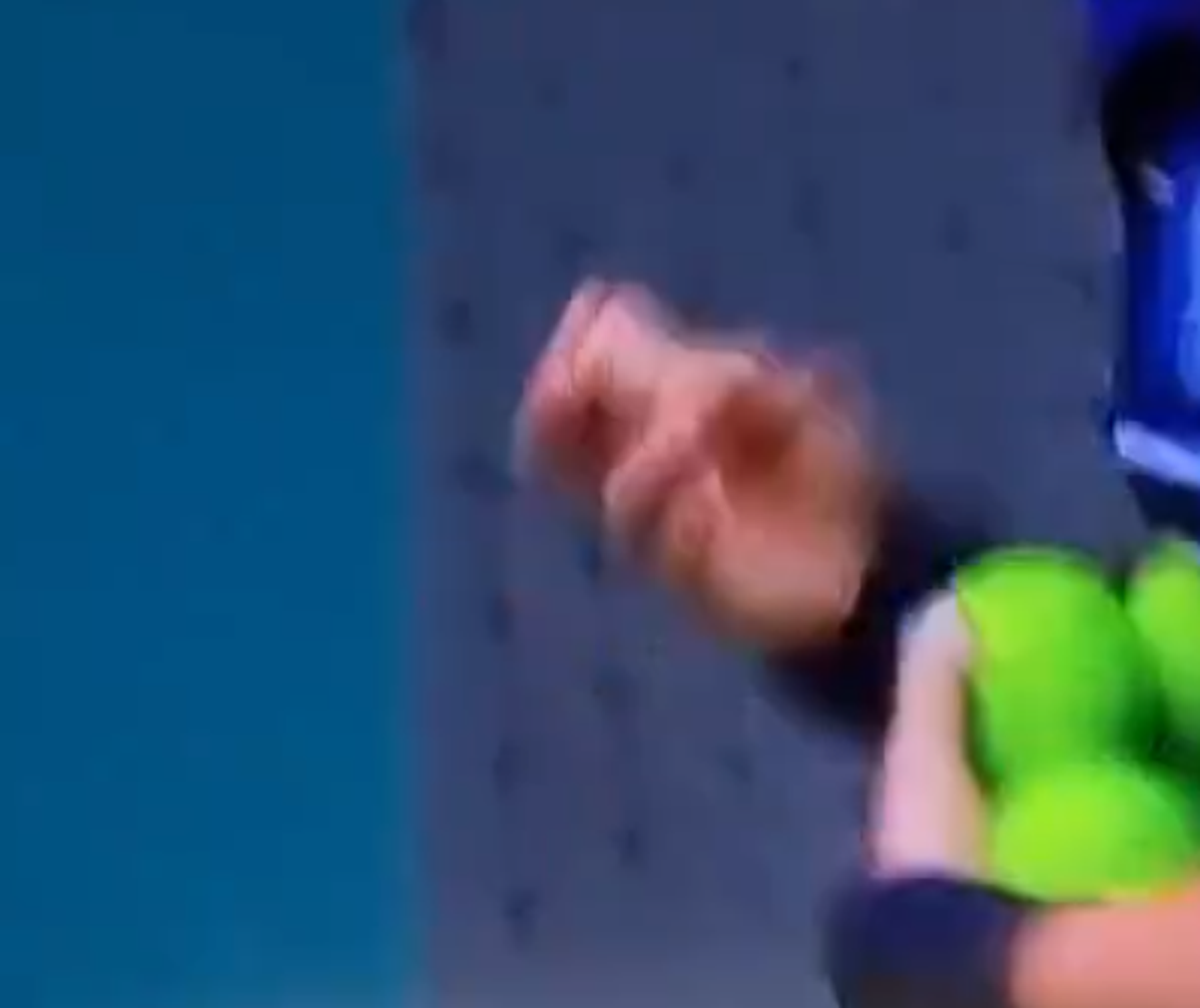 Jannik Sinner - Carlos Alcaraz, momentul care a oprit partida