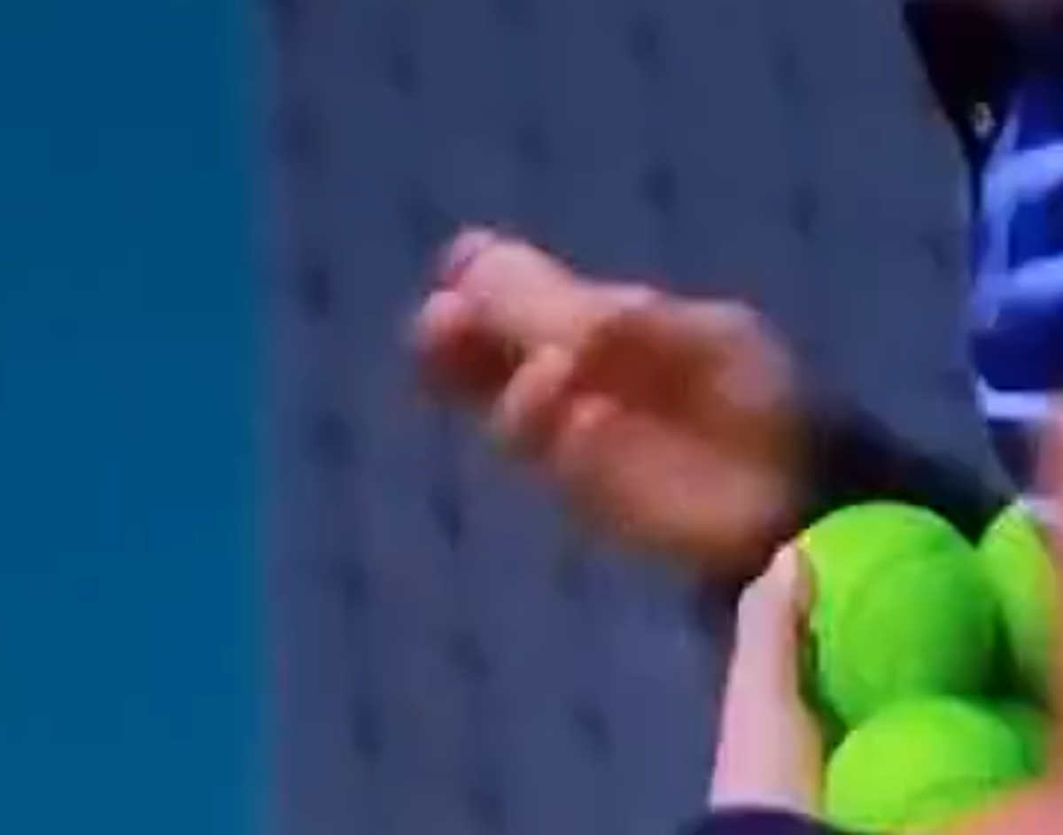 Jannik Sinner - Carlos Alcaraz, momentul care a oprit partida