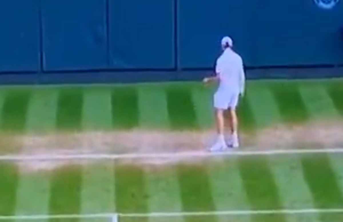 Ireal! De ce a fost întreruptă finala de la Wimbledon dintre Jannik Sinner și Carlos Alcaraz