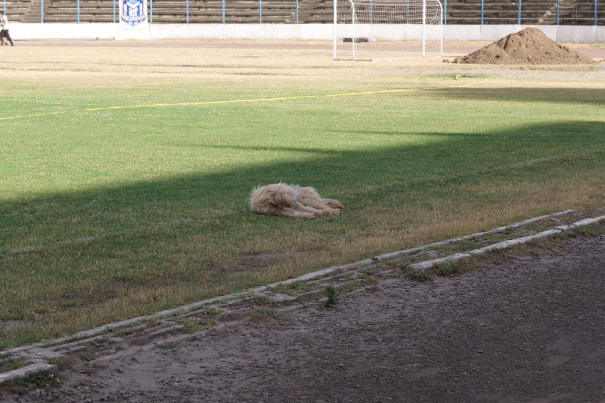 Stadionul cu 30.000 de locuri din drumul către Marea Neagră » Un colos în stare avansată de degradare: imagini excepționale