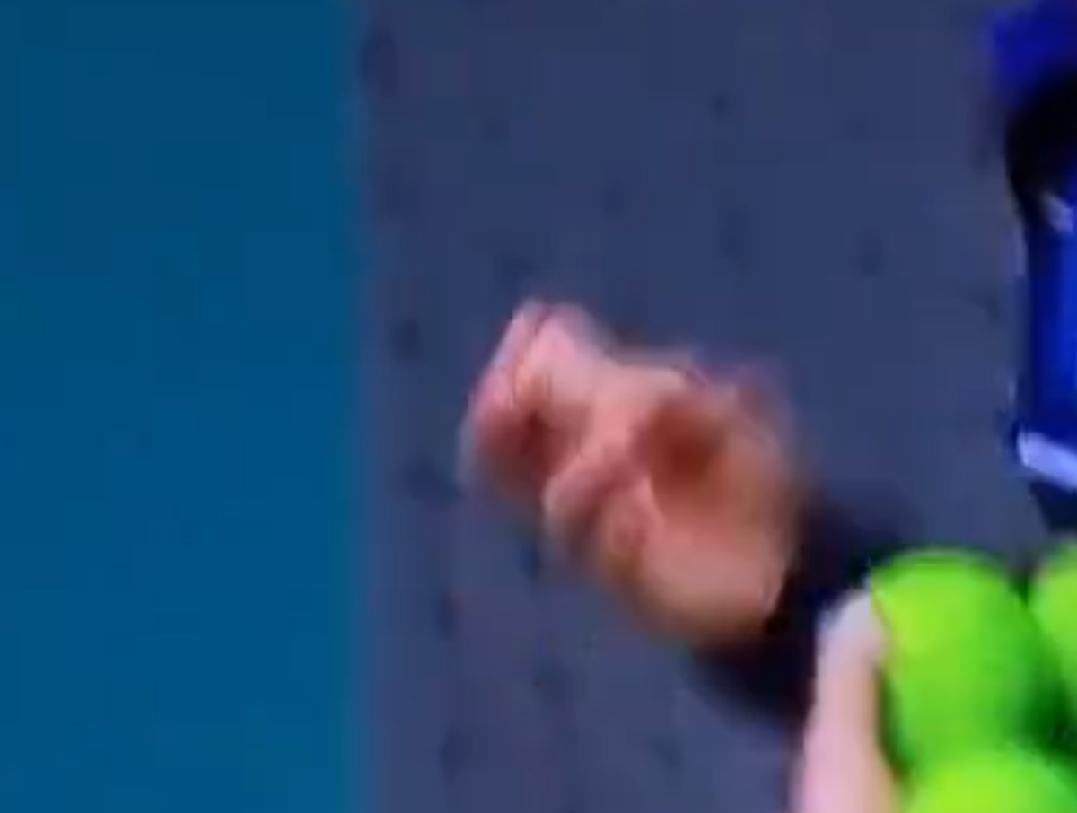 Jannik Sinner - Carlos Alcaraz, momentul care a oprit partida