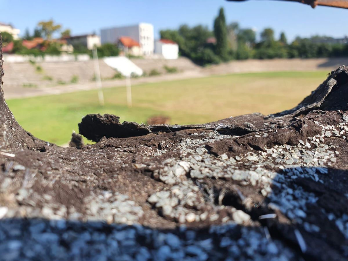 Situație jenantă » Ministrul Sportului din România se antrenează în Bulgaria pentru Jocurile Paralimpice!