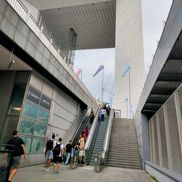 Jocurile Olimpice de la Paris 2024 Foto: Luminița Paul