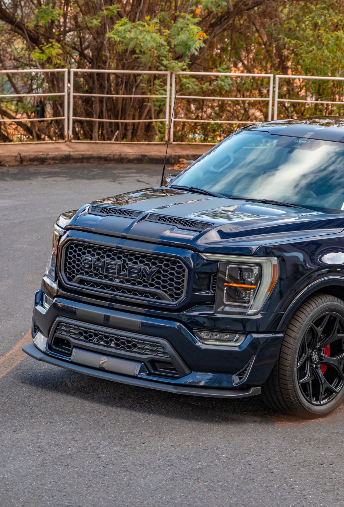 Erling Haaland a venit cu un „monstru” la antrenament