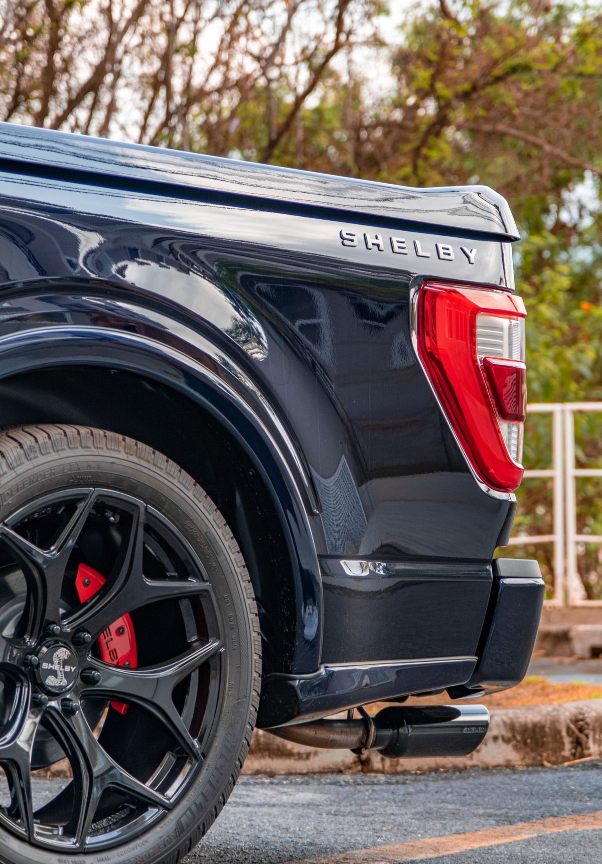 Erling Haaland a venit cu un „monstru” la antrenament