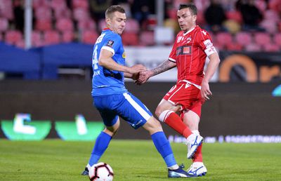 DINAMO - FC BOTOȘANI // 14 statistici interesante » Tradiția e de partea lor, dar Croitoru vrea să-i „îmblânzească”!