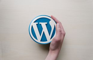 Ce avantaje are WordPress