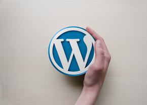 Ce avantaje are WordPress