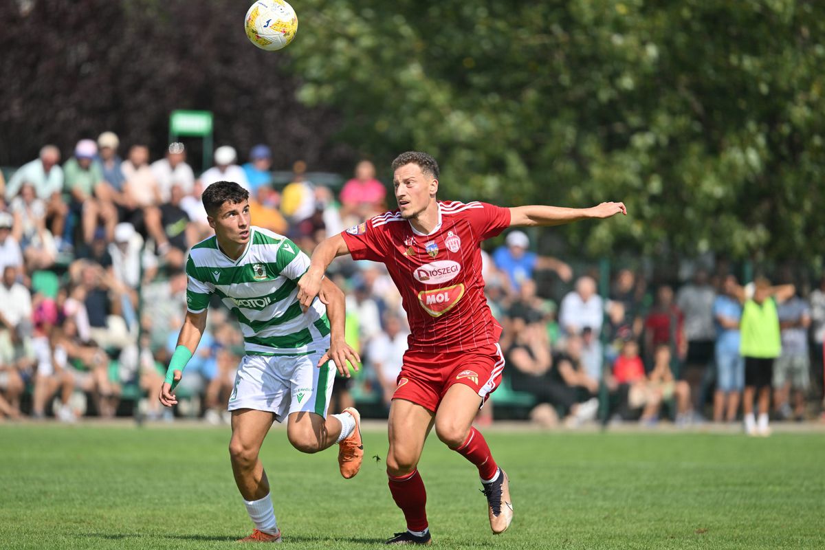 CSC Dumbrăvița - Sepsi 1-2 / Foto: Facebook Sepsi OSK Leczki Jozsef