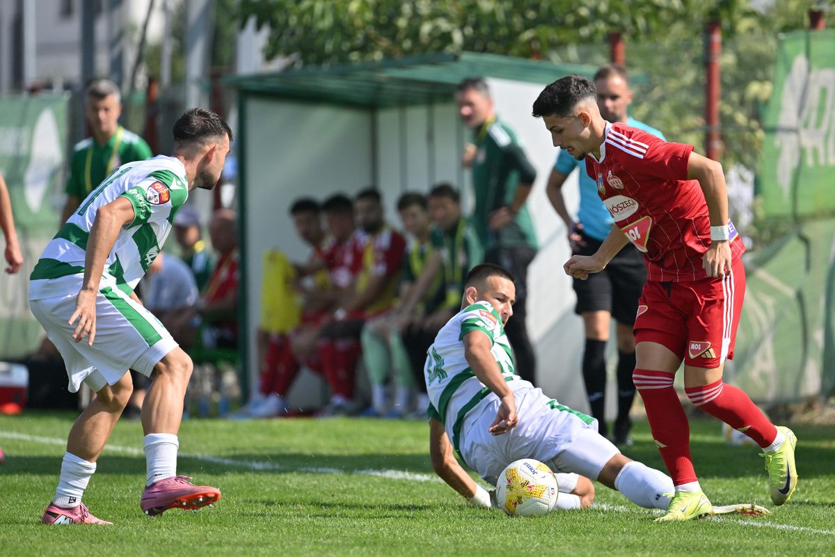 CSC Dumbrăvița - Sepsi 1-2 / Foto: Facebook Sepsi OSK Leczki Jozsef