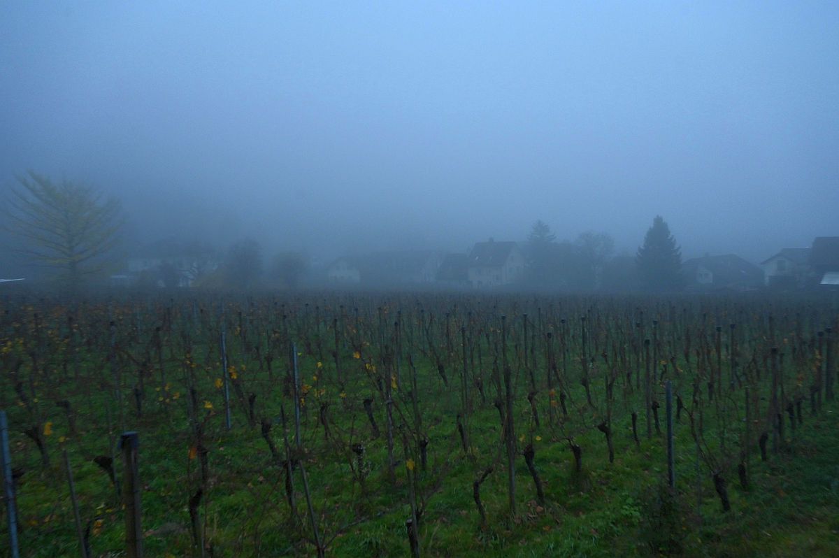 Stadion Liechtenstein // FOTO: Raed Krishan