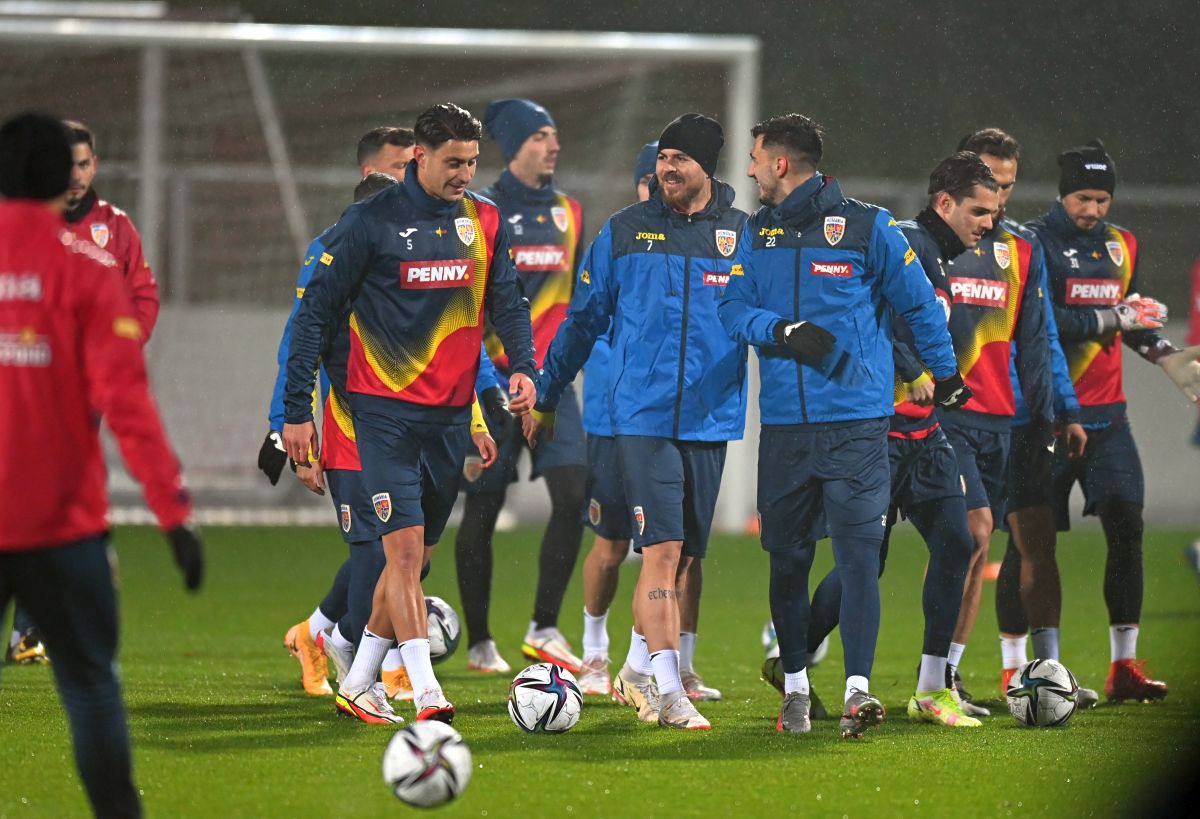 Mirel Rădoi, întrebat direct de jurnalistul GSP: „Dacă ați fi șeful FRF acum, ați insista ca antrenorul să continue?”. Ce a răspuns selecționerul