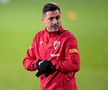 Mihai Stoichiță, director tehnic FRF // foto: Imago Images