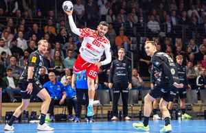 Nantes - Dinamo, în Liga Campionilor la handbal masculin