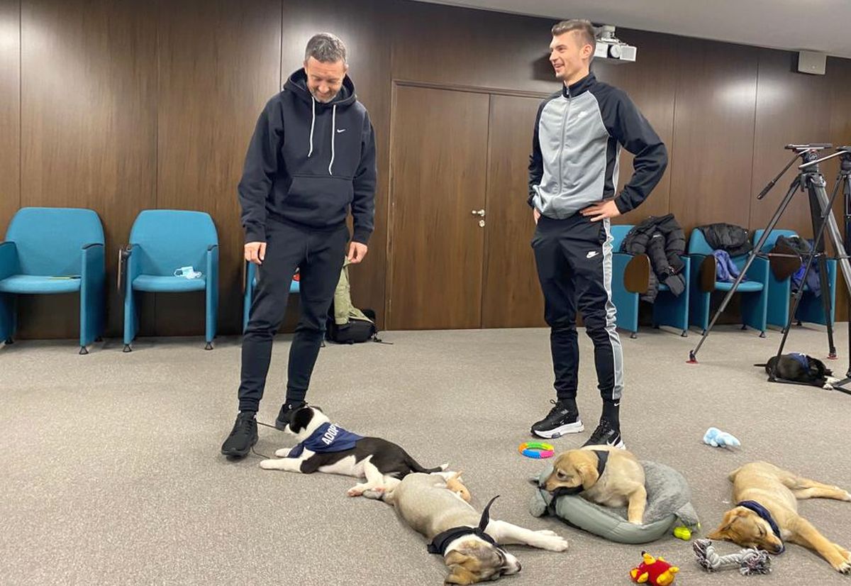 Imagini inedite cu MM Stoica și Florin Tănase » Cei mai mari fani ai câinilor: „Avem lipici la ei”