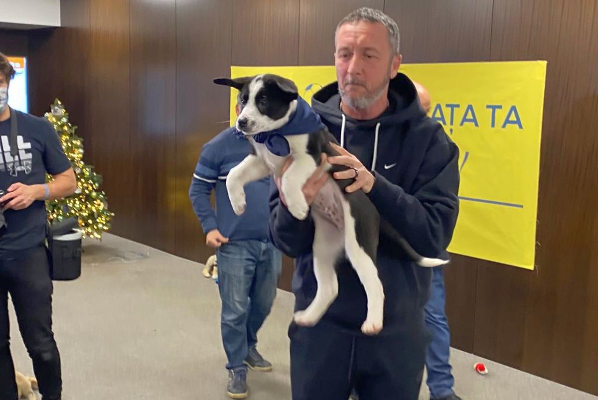 Imagini inedite cu MM Stoica și Florin Tănase » Cei mai mari fani ai câinilor: „Avem lipici la ei”