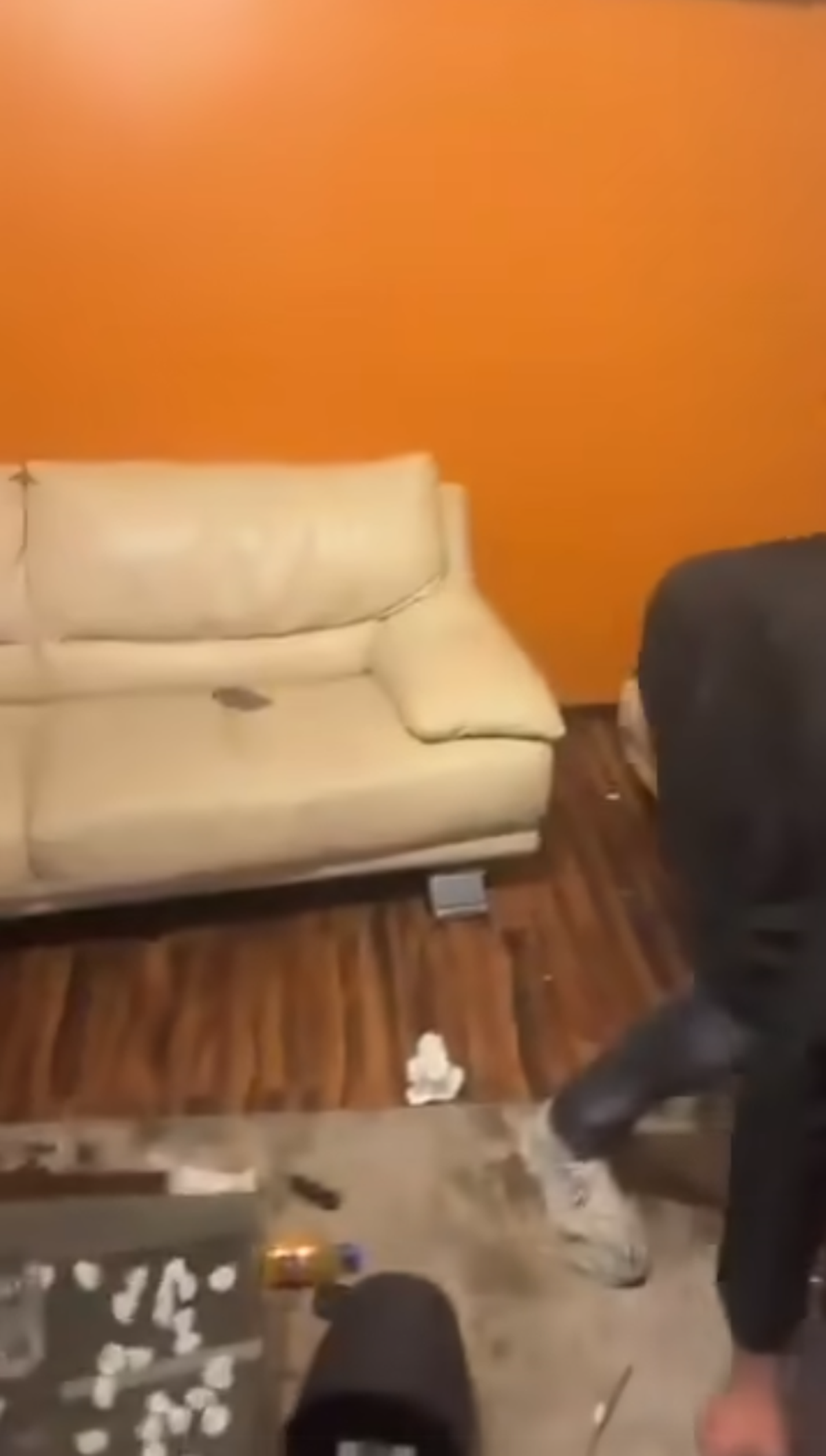 Scene șocante: momentul în care huliganii lui Feyenoord distrug complet un apartament din București