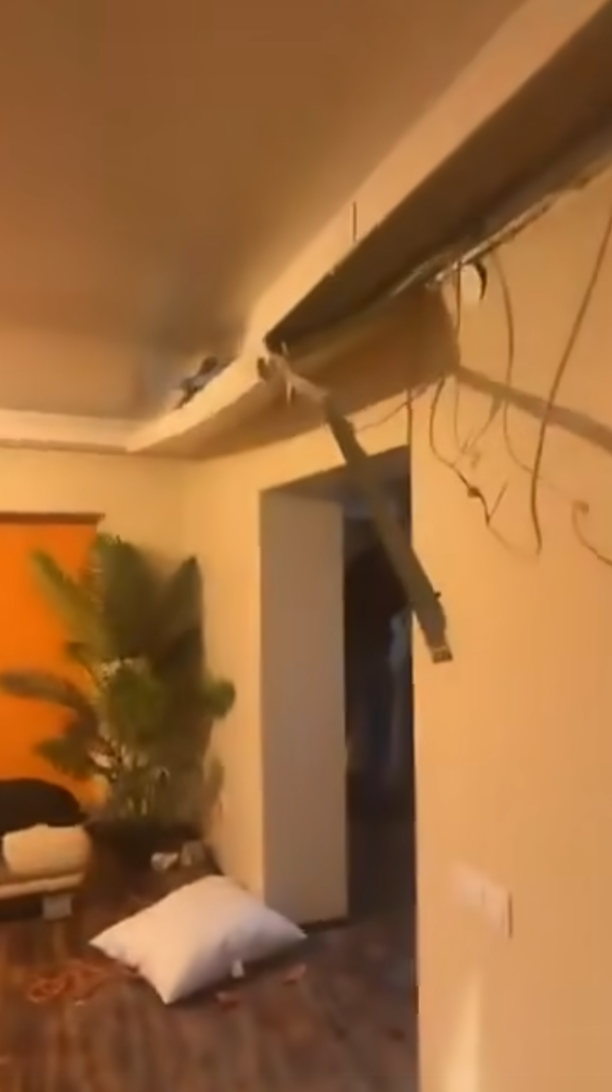 Fanii lui Feyenoord au distrus un apartament din București