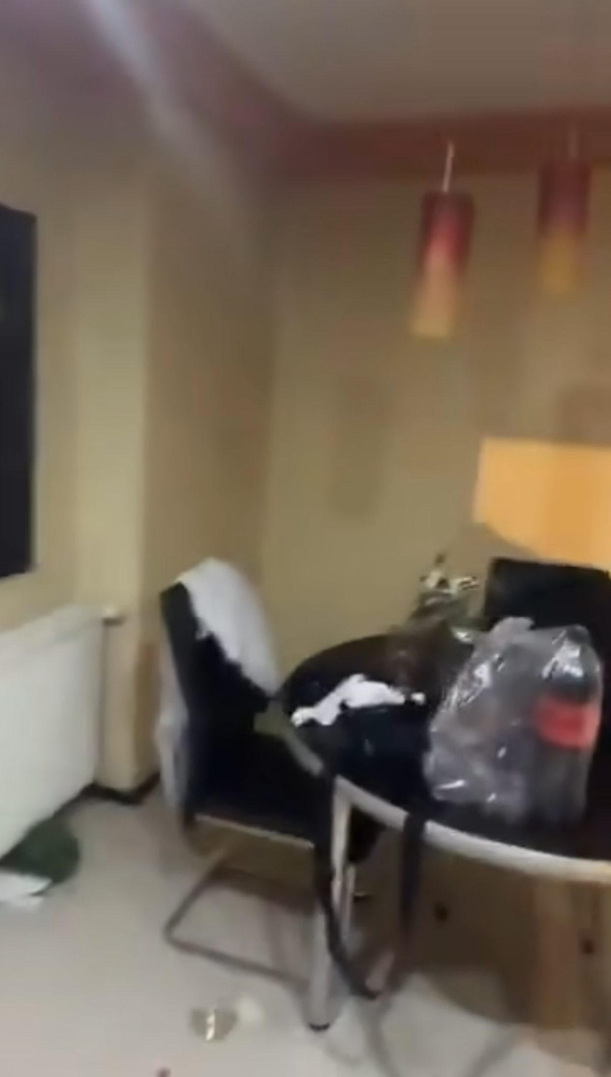 Fanii lui Feyenoord au distrus un apartament din București