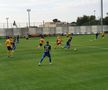 Viitorul - Young Boys Berna 0-1, liveTEXT, VIDEO + FOTO