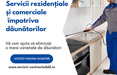 Cum am scăpat de ploșnițe: Servicii profesionale de dezinsecție, prețuri și soluții eficiente în București