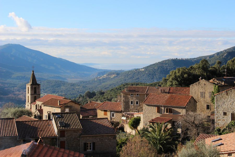 Cine e românul vecin și prieten cu președintele asasinat, care l-a adus pe Mutu în Franța: „Era nașul fiicei mele. Lucrasem împreună la planurile unei rețele de cazinouri”