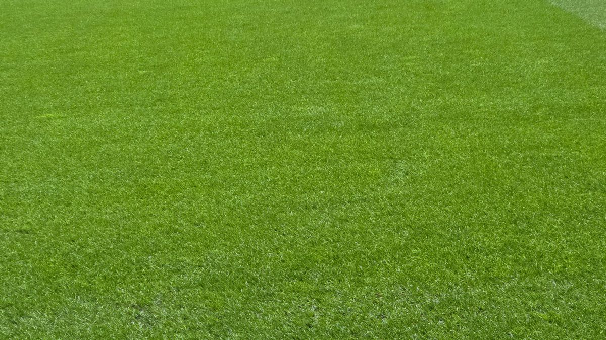 Pază armată din avion până în hotel » Măsuri de securitate fără precedent la Istanbul! Cine e omul de la SIAS din delegație