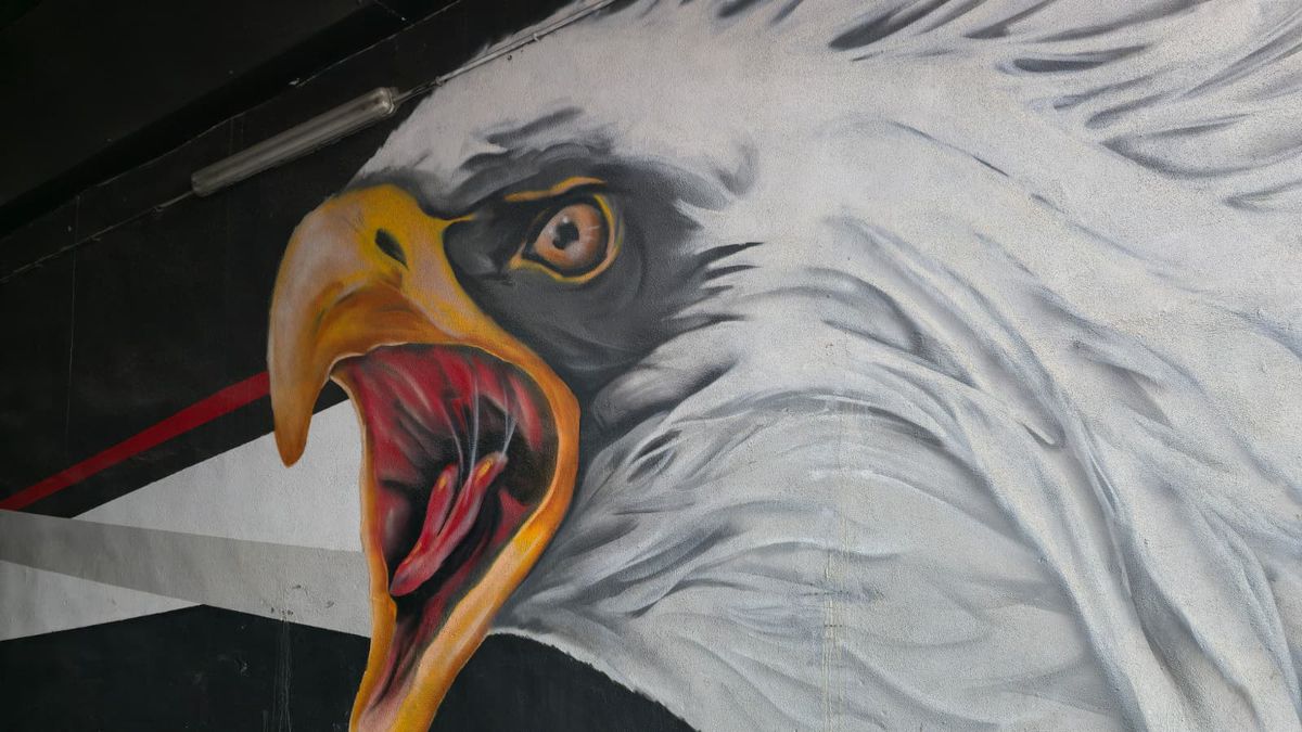 Pază armată din avion până în hotel » Măsuri de securitate fără precedent la Istanbul! Cine e omul de la SIAS din delegație