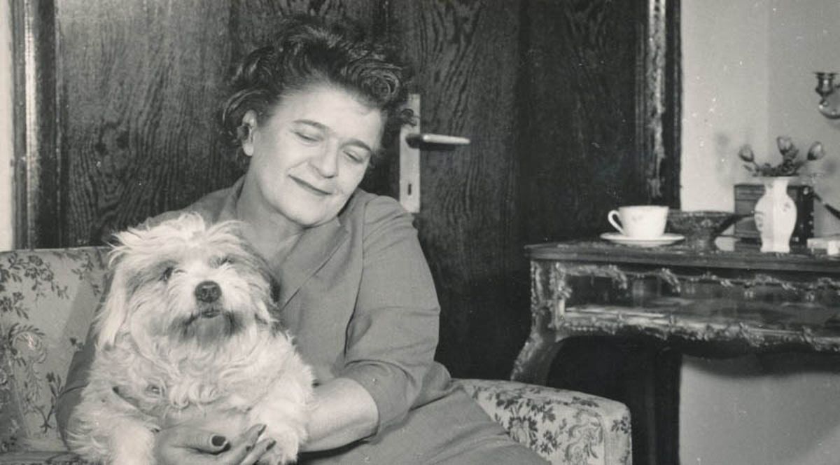 Retro GSP - Ion Motroc - Rapid