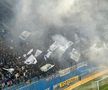 CS Universitatea Craiova - FCU Craiova, fani