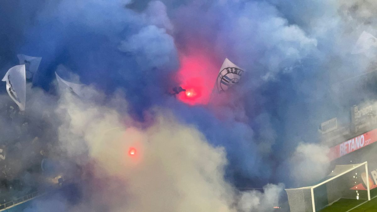 CS Universitatea Craiova - FCU Craiova, fani