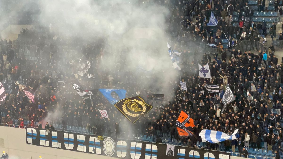 CS Universitatea Craiova - FCU Craiova, fani