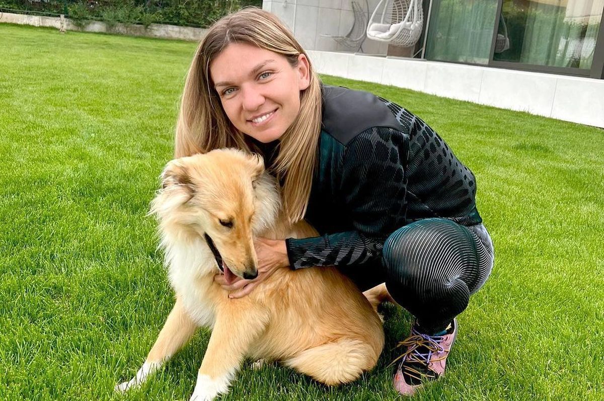 Simona Halep cumpără de la Cosmin Olăroiu » Pentru ce a plătit peste 2 milioane de euro!