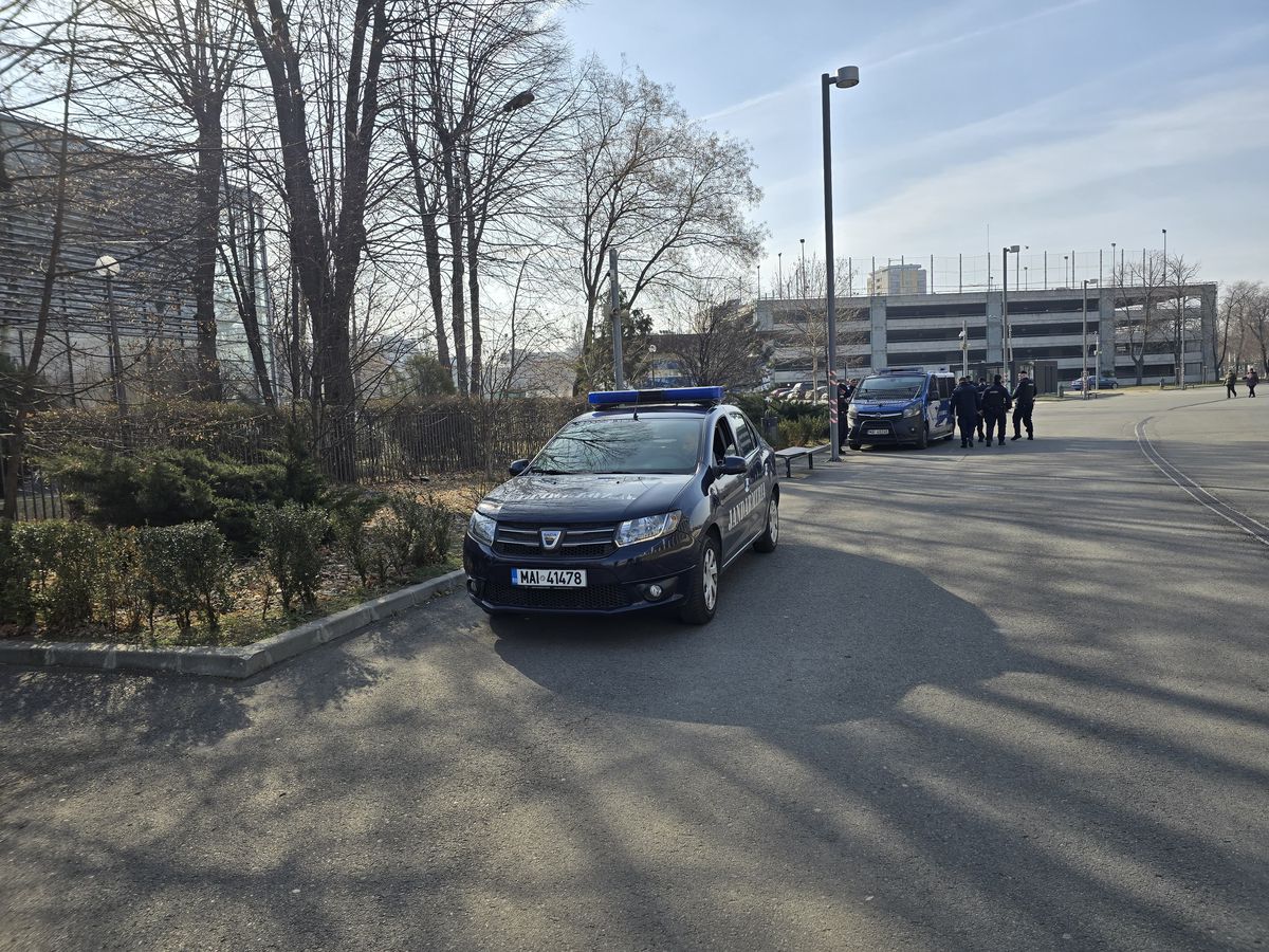 Un protestatar și două mașini de jandarmi la sediul Federației „Sunt aici ca să nu regret că n-am făcut nimic!”