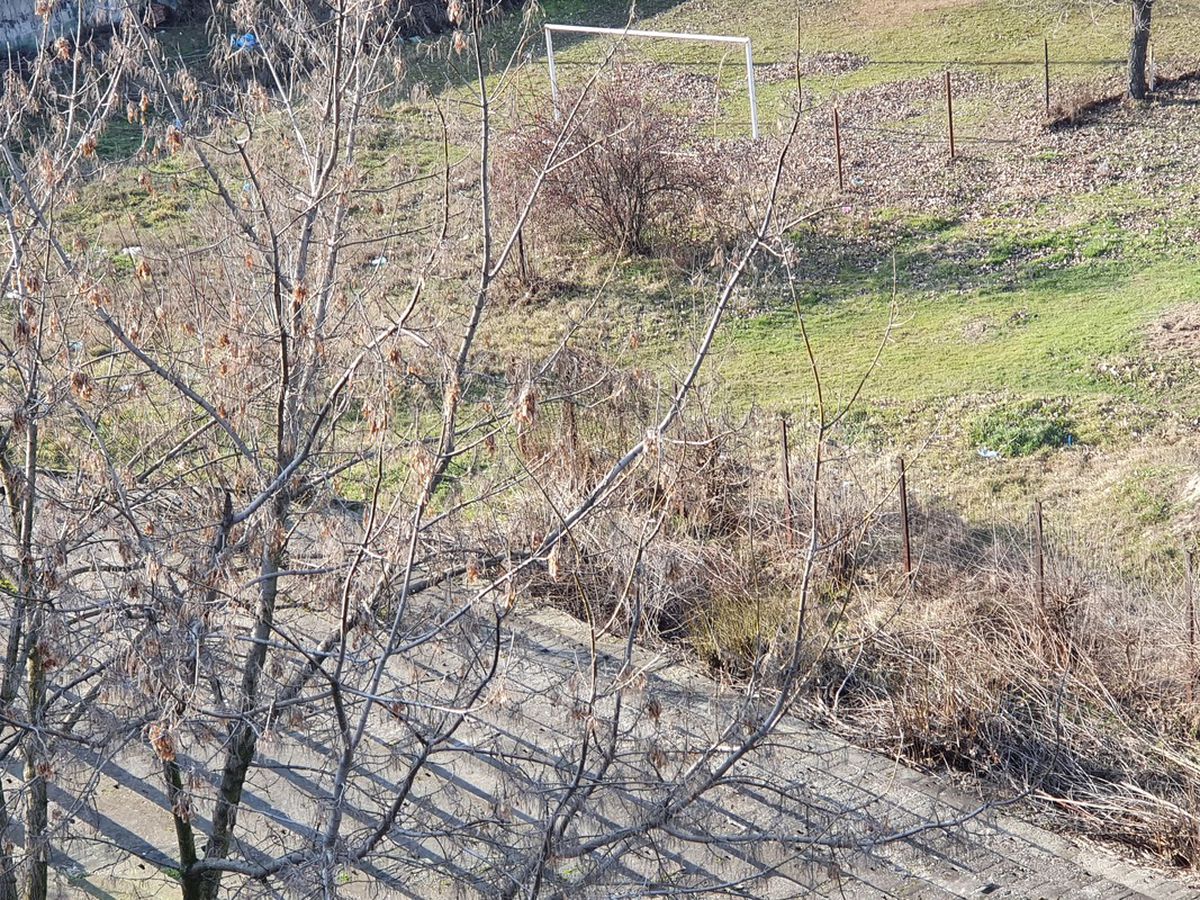 Ministerul Sportului anunță: începe proiectarea noului complex sportiv din Craiova, pe locul stadionului „Tineretului”