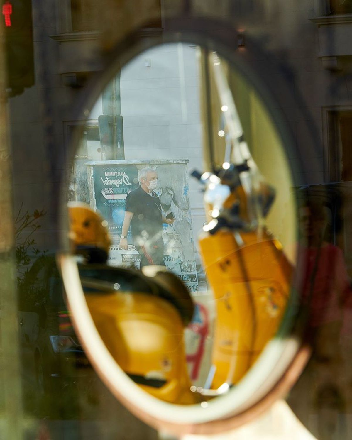 Încă un animal depistat pozitiv cu COVID-19 » Descoperire îngrijorătoare în Olanda: „Testare obligatorie în toate fermele”