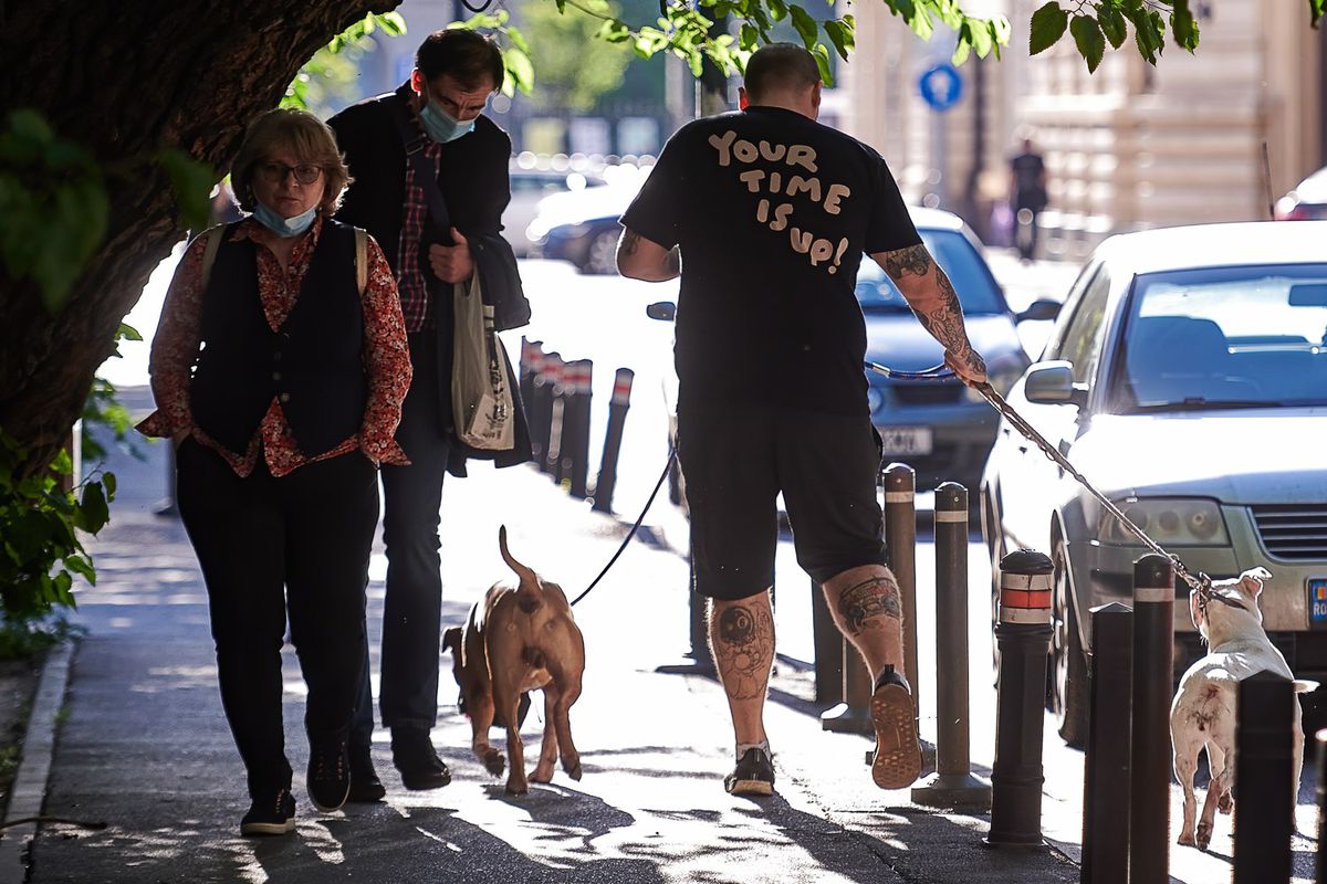 Cine a „scăpat” pe net celebra poză în care Ludovic Orban și membrii guvernului se relaxează la Palatul Victoria