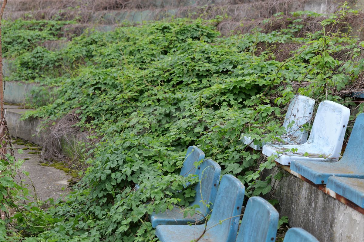 Fotbalul renaște la periferia orașului care dădea echipă în Liga 1 » Vechiul stadion e în paragină, înghițit de natură!