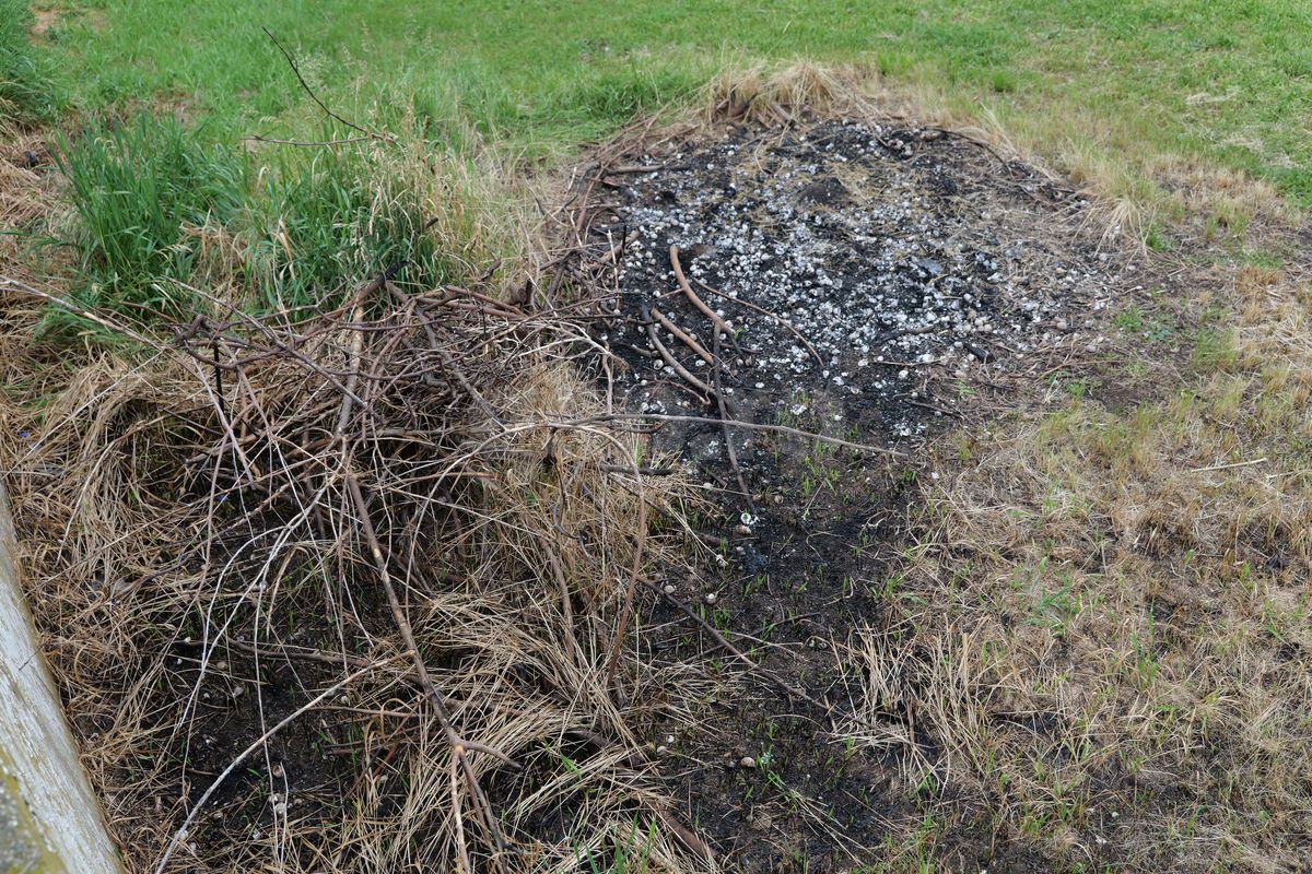 Fotbalul renaște la periferia orașului care dădea echipă în Liga 1 » Vechiul stadion e în paragină, înghițit de natură!