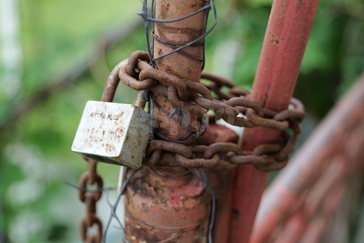 Fotbalul renaște la periferia orașului care dădea echipă în Liga 1 » Vechiul stadion e în paragină, înghițit de natură!