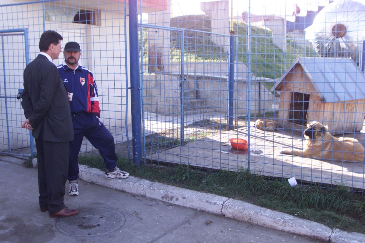 Fotbalul renaște la periferia orașului care dădea echipă în Liga 1 » Vechiul stadion e în paragină, înghițit de natură!