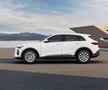 Audi Q5 Sportback, „fiara” lui Novak Djokovic