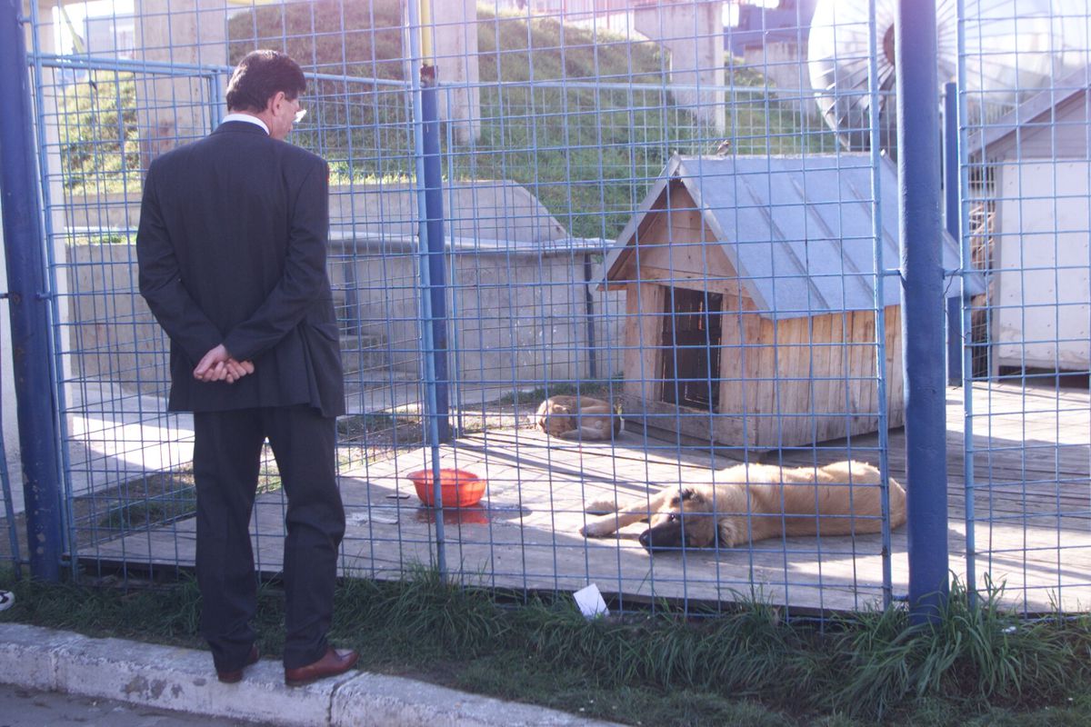 Stadion Onești - mai 2025